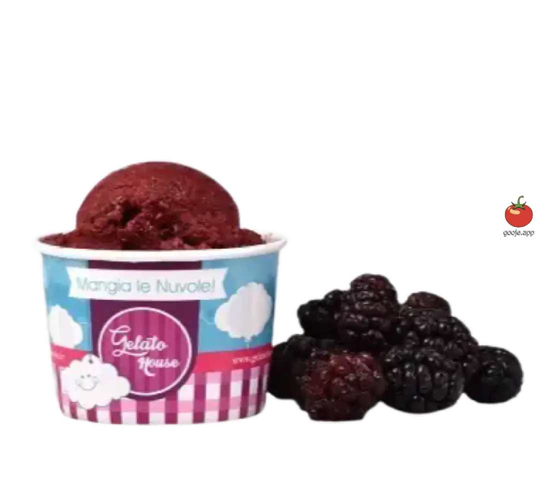 اسکوپ سوربتوی شاتوت کتوژنیک