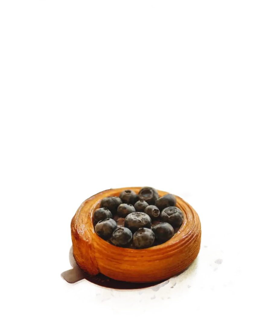 دنیش بلوبری