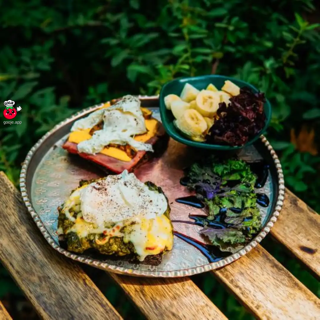 پوچد اگز (جدید)