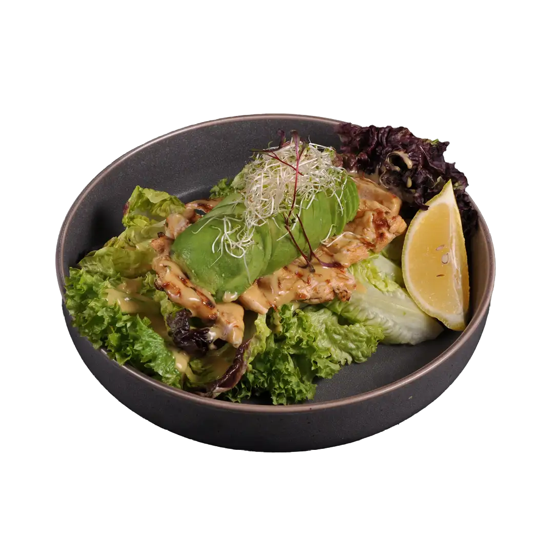 سالاد مرغ آووکادو