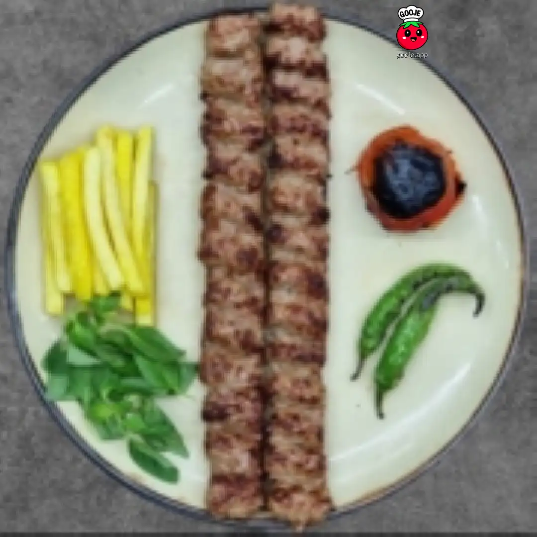 خوراک کباب کوبیده دو سیخ