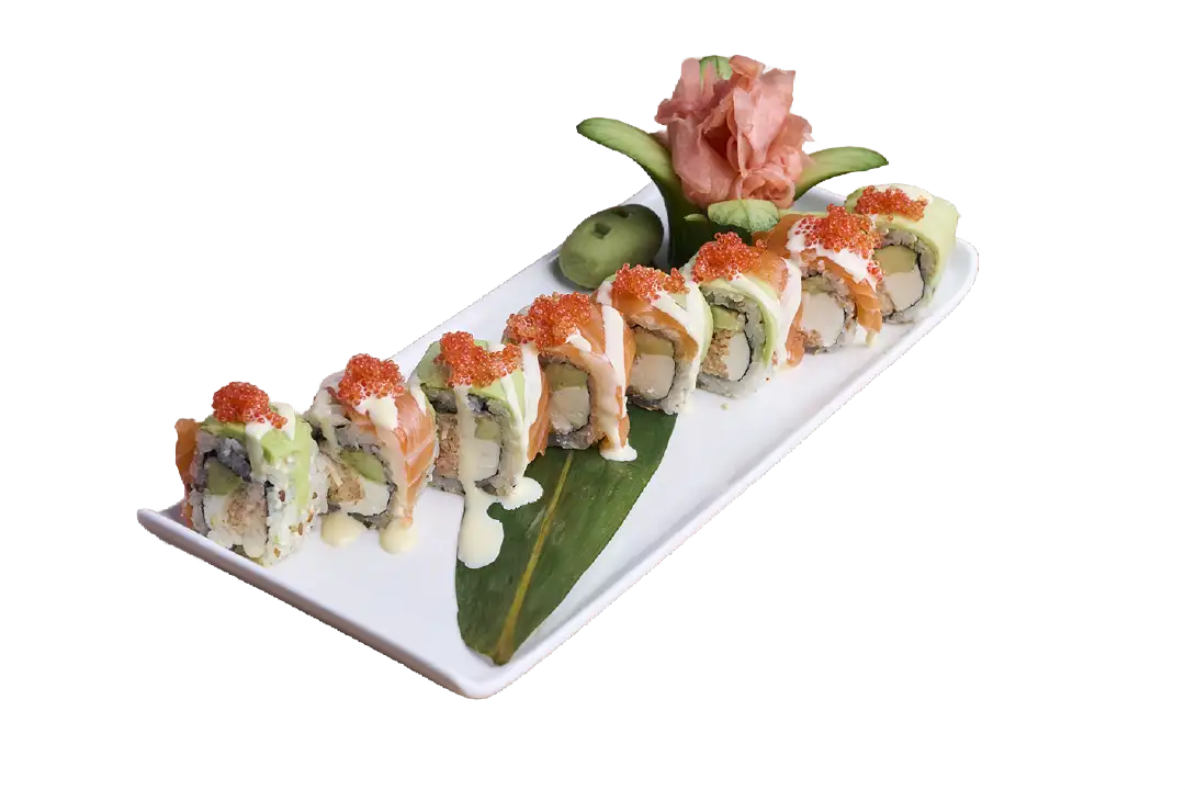 سالمون آواکادو